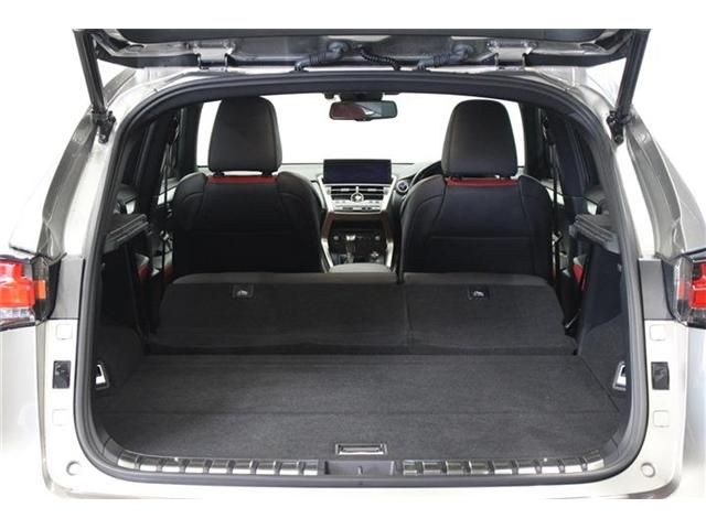 Lexus NX 2017-11 4064-28