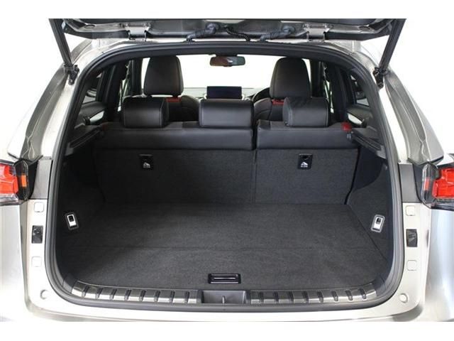 Lexus NX 2017-11 4064-18