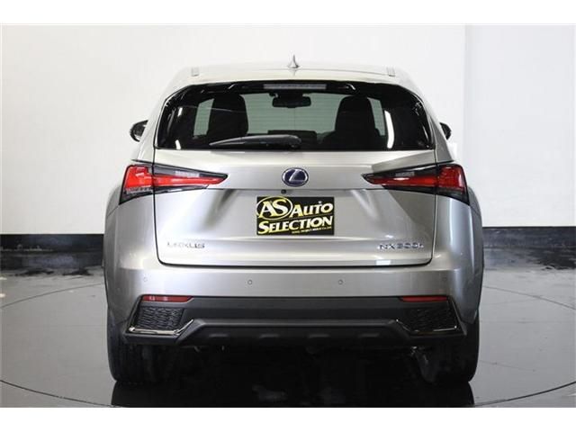 Lexus NX 2017-11 4064-5
