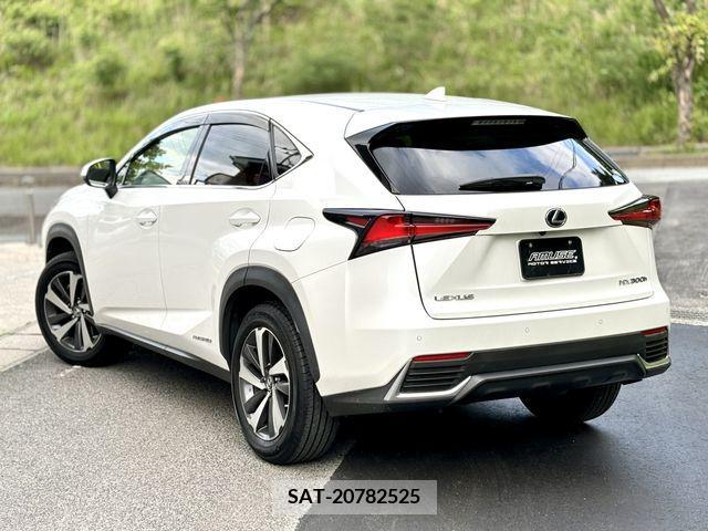 Lexus NX 2018-07 275737-5