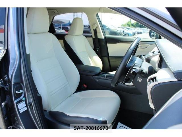 Lexus NX 2018-12 388427-12