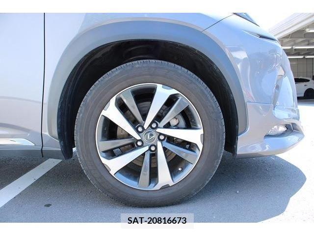 Lexus NX 2018-12 388427-11