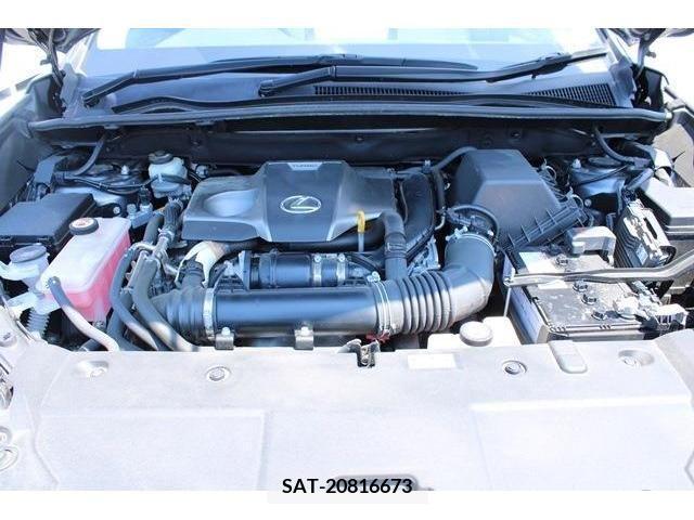 Lexus NX 2018-12 388427-18