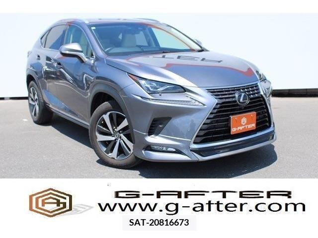 Lexus NX 2018-12 388427-0