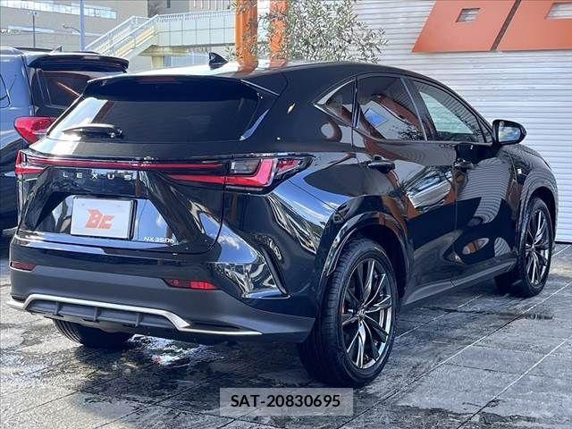 Lexus NX 2023-07 441127-12