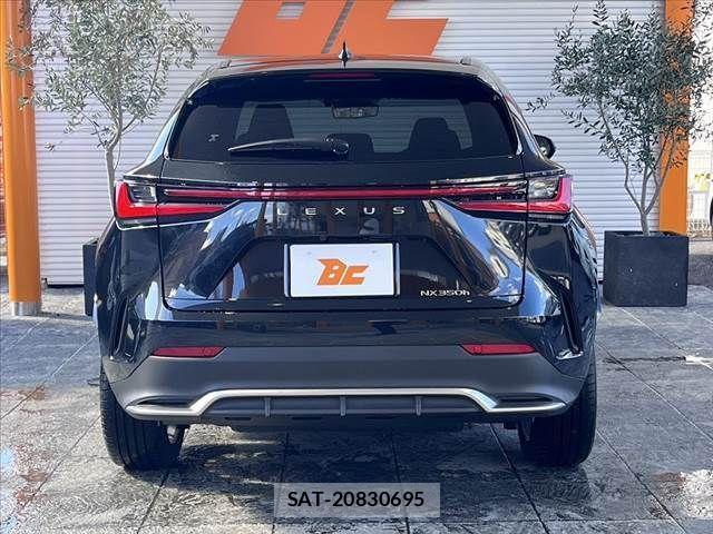 Lexus NX 2023-07 441127-13