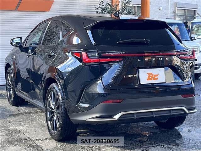 Lexus NX 2023-07 441127-14
