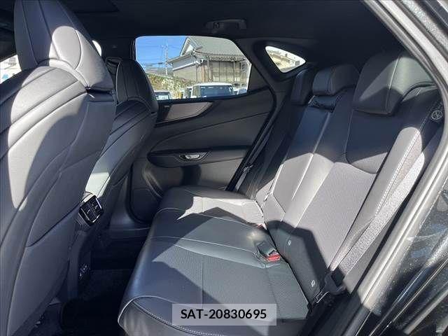 Lexus NX 2023-07 441127-18