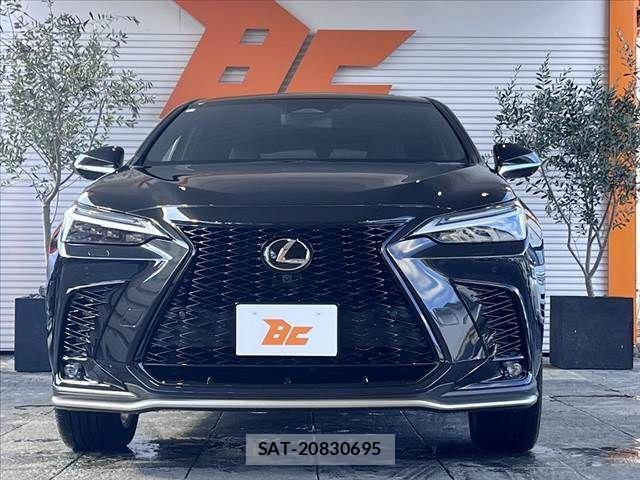 Lexus NX 2023-07 441127-8