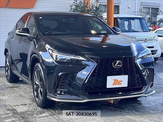 Lexus NX 2023-07 441127-9
