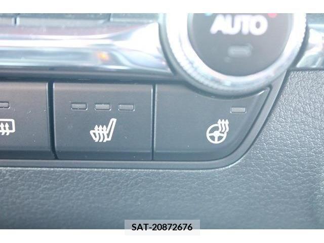 Mazda MAZDA3 2019-06 301051-18