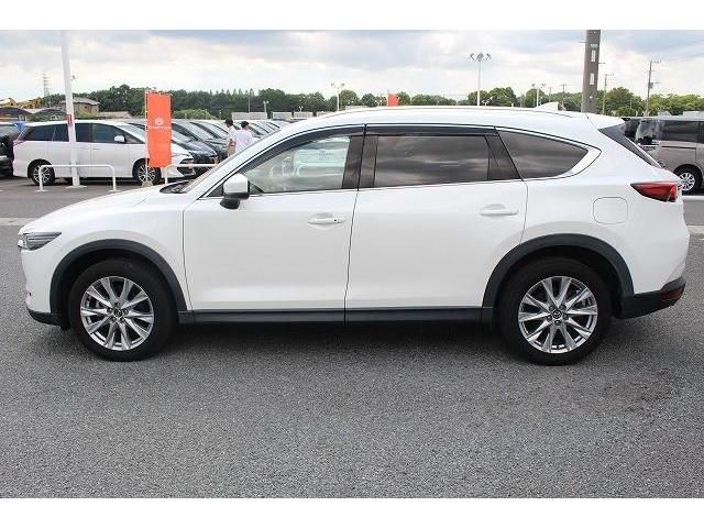 Mazda CX-8 2018-03 5580-8