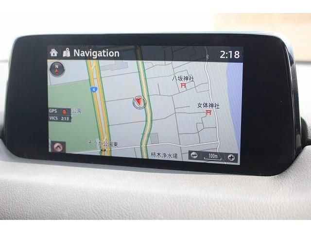 Mazda CX-8 2018-03 5580-1