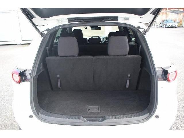 Mazda CX-8 2018-03 5580-17