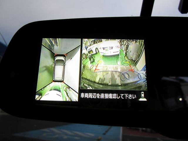 Nissan DAYZ 2014-04 3729-8