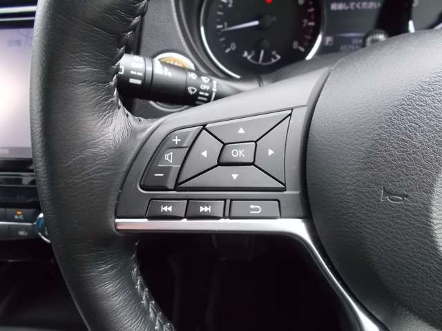 Nissan X-TRAIL 2018-08 10220-15