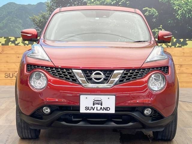 Nissan JUKE 2016-09 24896-14