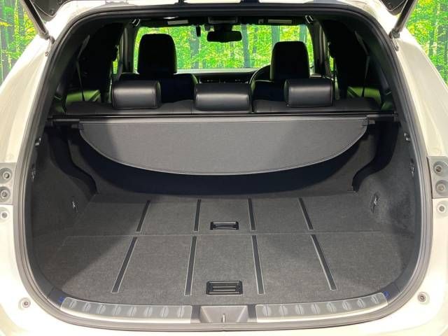 Toyota HARRIER 2017-09 196383-11
