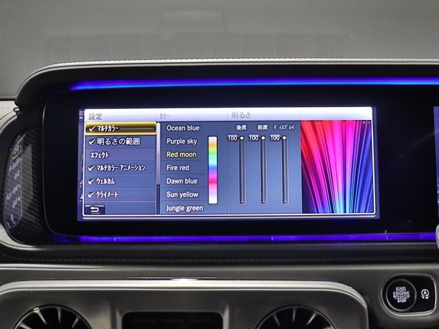 Amg G-CLASS 2021-02 188794-19