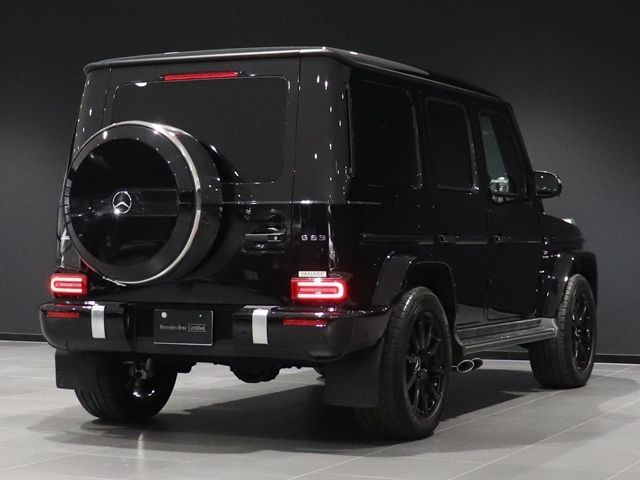 Amg G-CLASS 2021-02 188794-10
