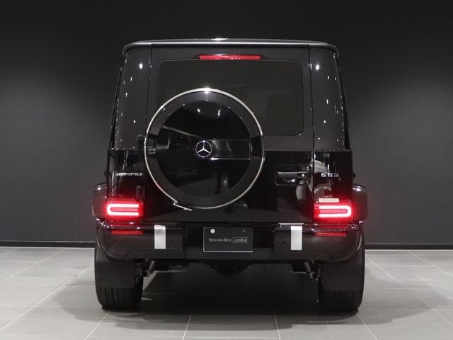 Amg G-CLASS 2021-02 188794-11