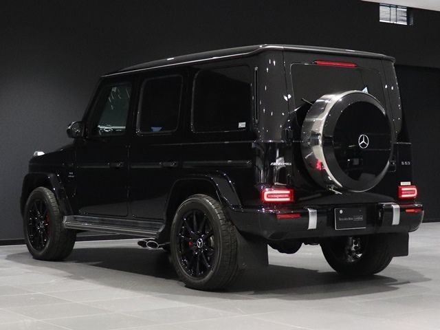Amg G-CLASS 2021-02 188794-13