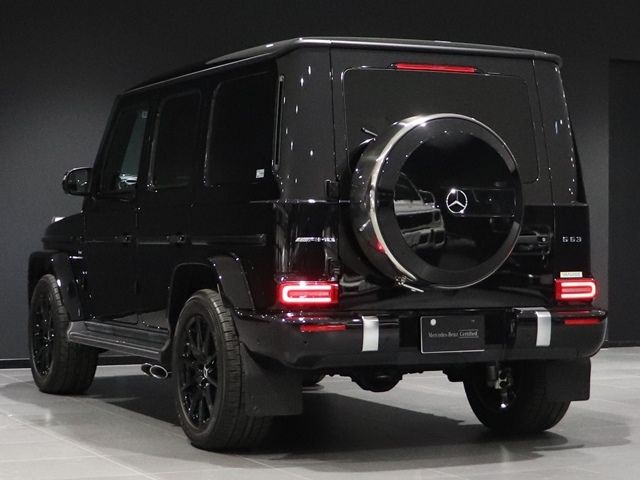 Amg G-CLASS 2021-02 188794-12
