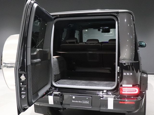 Amg G-CLASS 2021-02 188794-15
