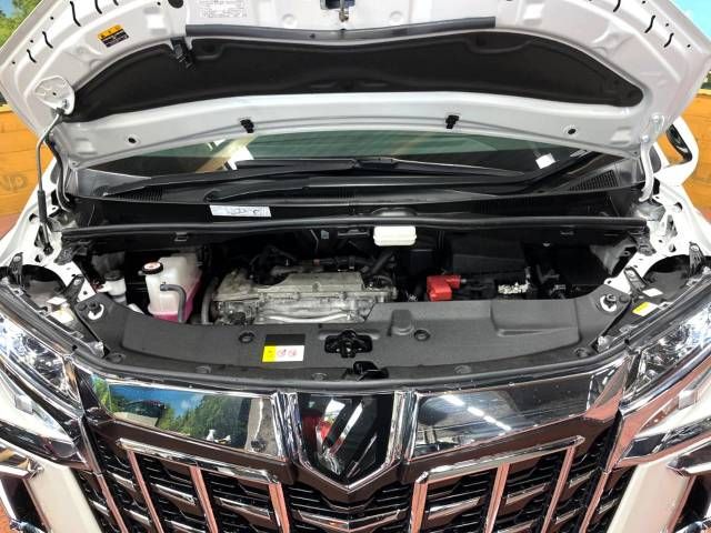 Toyota ALPHARD 2022-02 182395-19