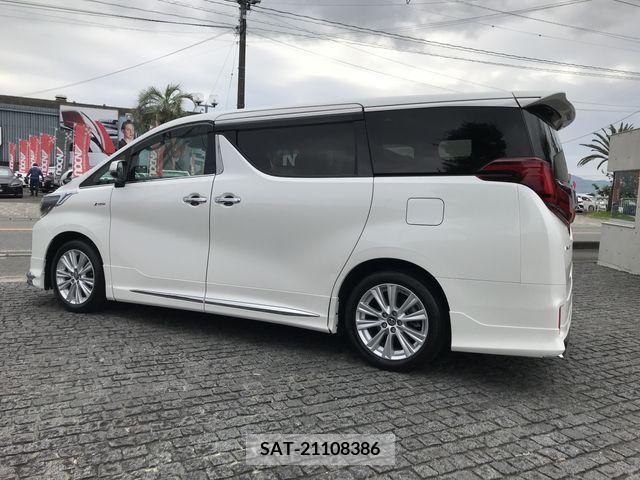 Toyota ALPHARD 2019-04 299481-3