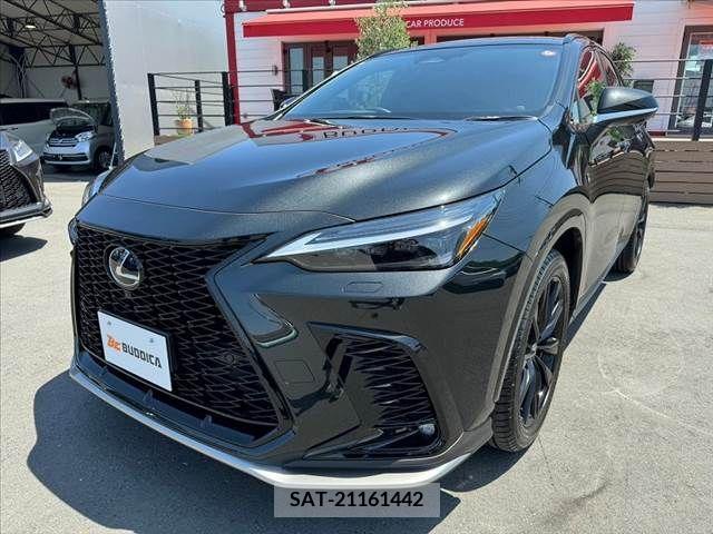 Lexus NX 2023-10 275697-7