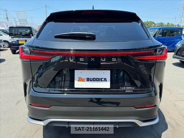 Lexus NX 2023-10 275697-13