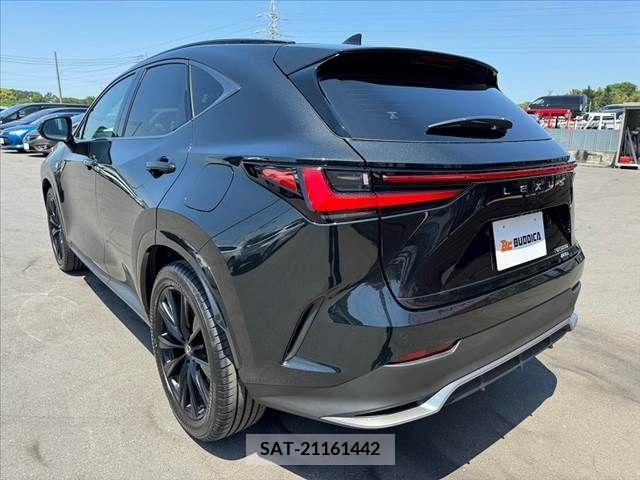 Lexus NX 2023-10 275697-14