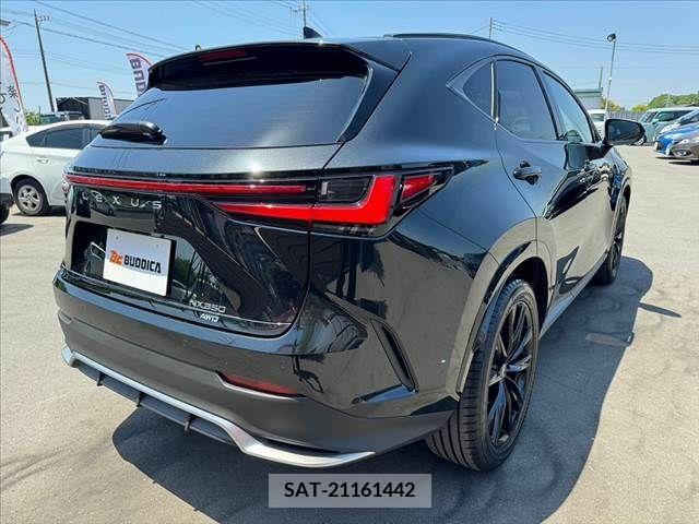 Lexus NX 2023-10 275697-12
