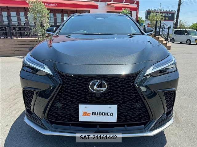 Lexus NX 2023-10 275697-8