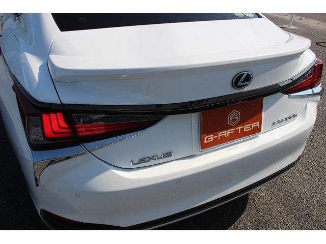 Lexus ES 2019-04 6643-13