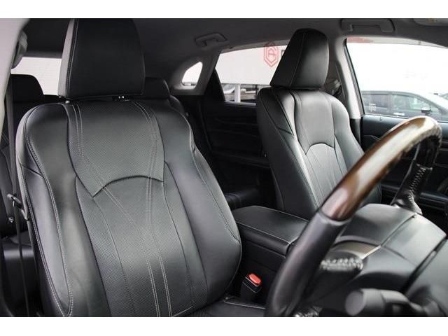 Lexus RX 2016-11 16896-15