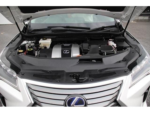 Lexus RX 2016-11 16896-18
