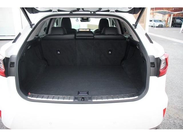 Lexus RX 2016-11 16896-17