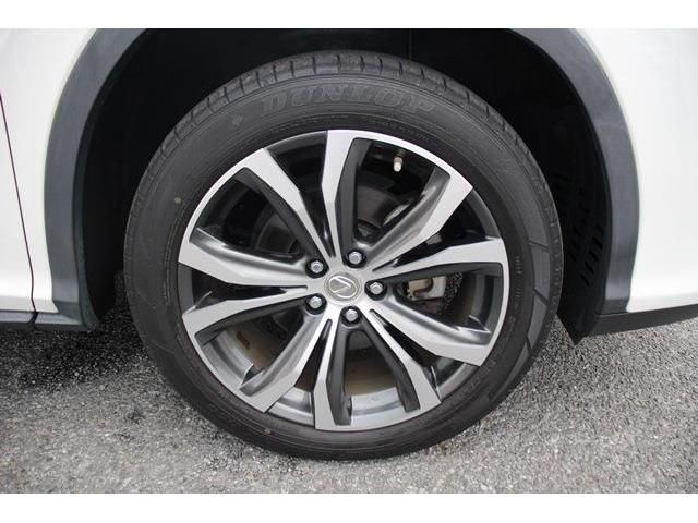 Lexus RX 2016-11 16896-13