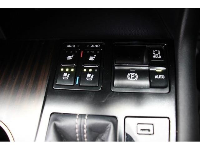 Lexus RX 2016-11 16896-3
