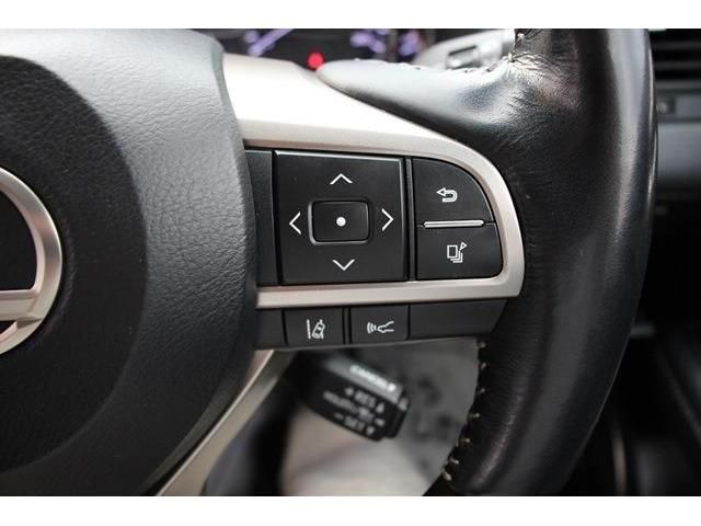 Lexus RX 2016-11 16896-6