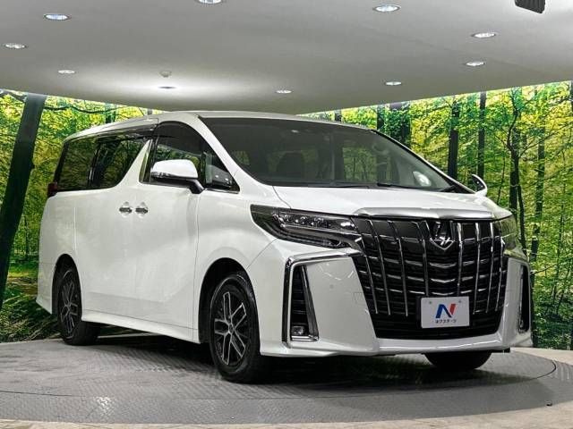 Toyota ALPHARD 2022-10 193325-16