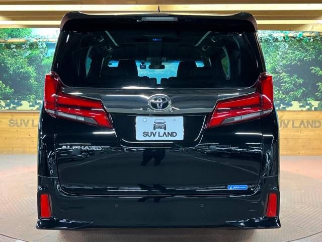 Toyota ALPHARD 2020-09 185378-16
