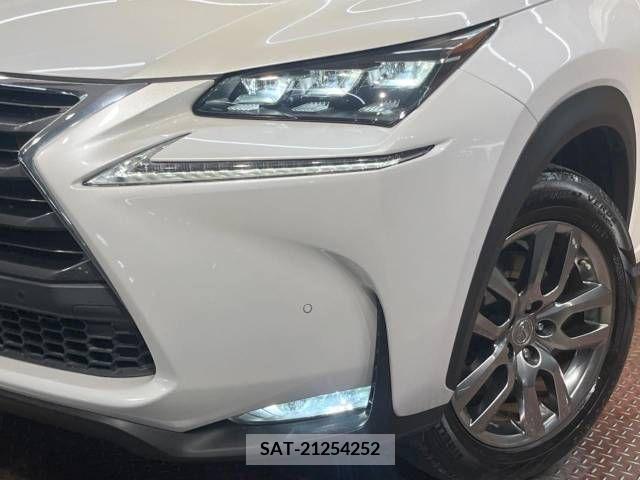 Lexus NX 2015-11 354142-12