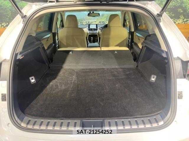 Lexus NX 2015-11 354142-10