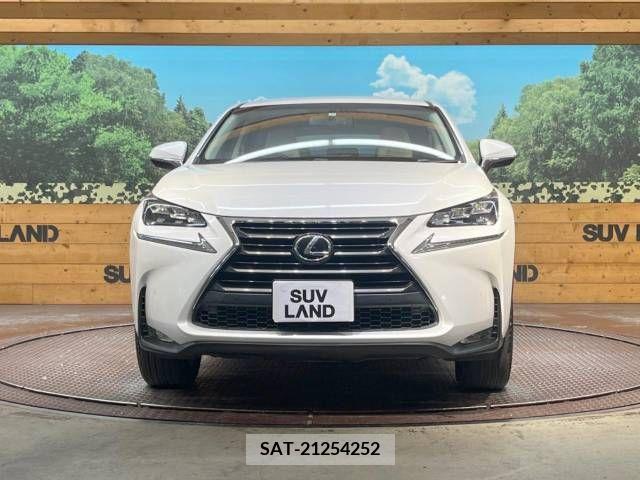 Lexus NX 2015-11 354142-14