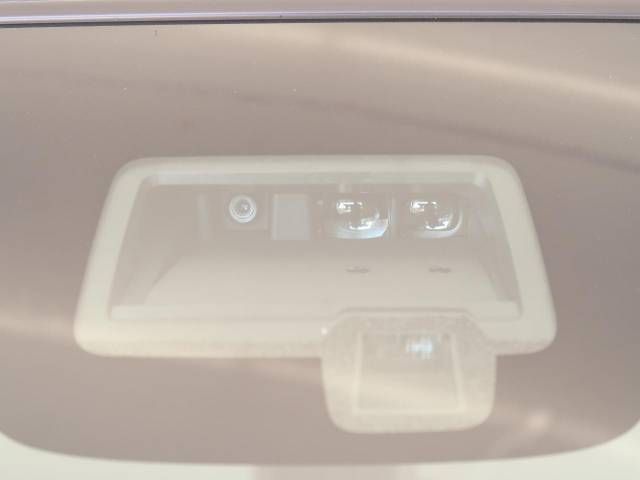 Suzuki LAPIN 2019-07 194606-4