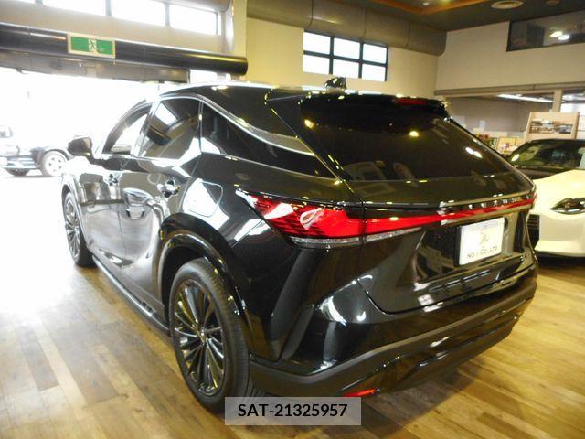 Lexus RX 2024-02 299135-9