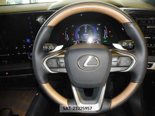 Lexus RX 2024-02 299135-18